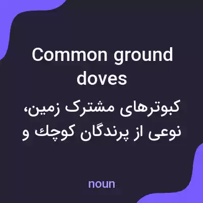 معنی common ground doves به فارسی معنی common ground doves به فارسی