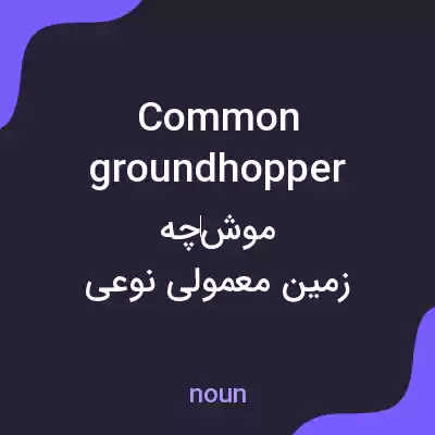 معنی common groundhopper به فارسی معنی common groundhopper به فارسی