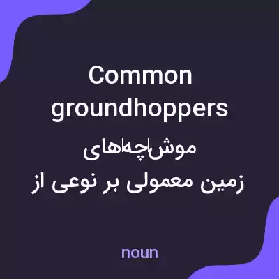 معنی common groundhoppers به فارسی معنی common groundhoppers به فارسی
