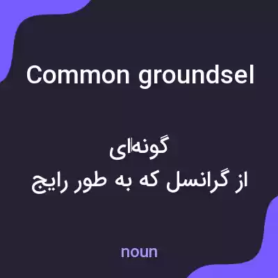 معنی common groundsel به فارسی معنی common groundsel به فارسی