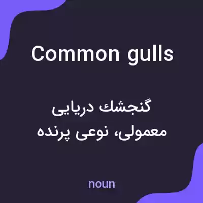 معنی common gulls به فارسی معنی common gulls به فارسی
