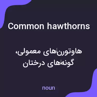 معنی common hawthorns به فارسی