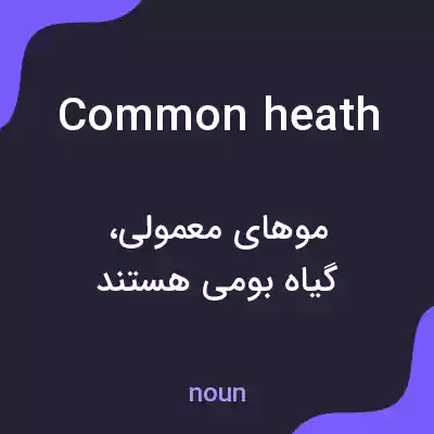 معنی common heath به فارسی معنی common heath به فارسی