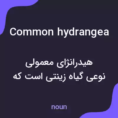 معنی common hydrangea به فارسی معنی common hydrangea به فارسی