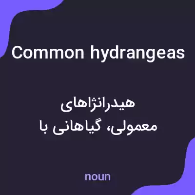 معنی common hydrangeas به فارسی
