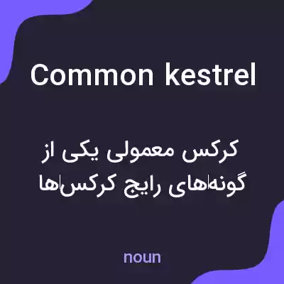 معنی common kestrel به فارسی معنی common kestrel به فارسی