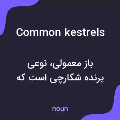 معنی common kestrels به فارسی معنی common kestrels به فارسی