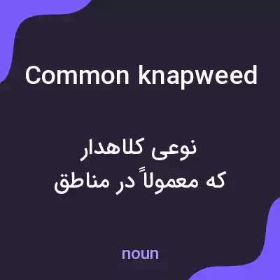 معنی common knapweed به فارسی معنی common knapweed به فارسی