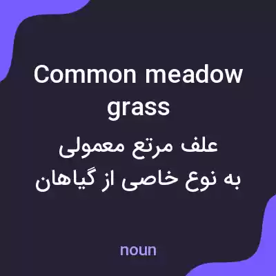 معنی common meadow grass به فارسی معنی common meadow grass به فارسی