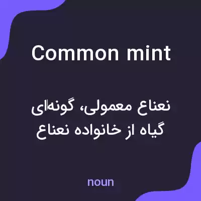 معنی common mint به فارسی معنی common mint به فارسی