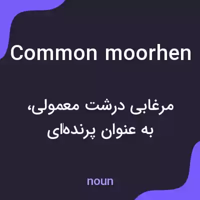 معنی common moorhen به فارسی
