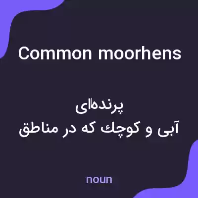 معنی common moorhens به فارسی معنی common moorhens به فارسی