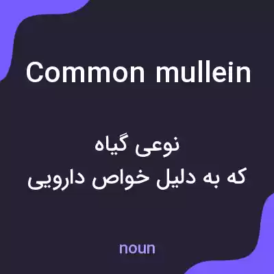 معنی common mullein به فارسی معنی common mullein به فارسی