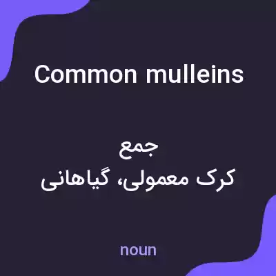 معنی common mulleins به فارسی معنی common mulleins به فارسی