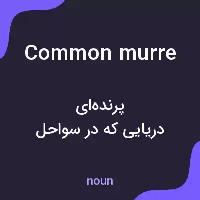 معنی common murre به فارسی معنی common murre به فارسی