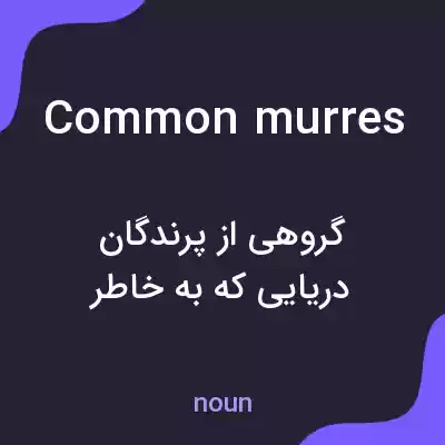 معنی common murres به فارسی معنی common murres به فارسی