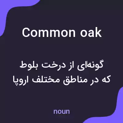 معنی common oak به فارسی معنی common oak به فارسی