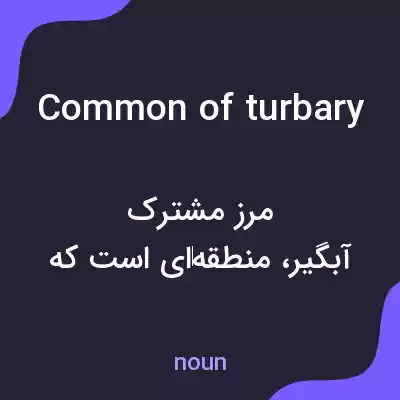 معنی common of turbary به فارسی معنی common of turbary به فارسی