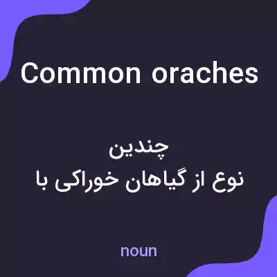 معنی common oraches به فارسی معنی common oraches به فارسی