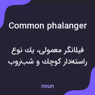 معنی common phalanger به فارسی معنی common phalanger به فارسی