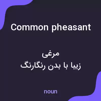 معنی common pheasant به فارسی معنی common pheasant به فارسی