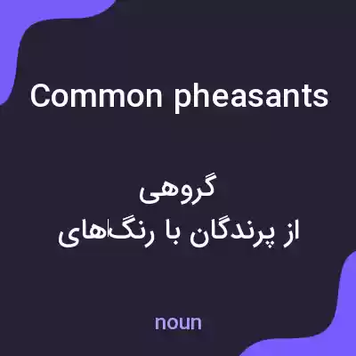 معنی common pheasants به فارسی معنی common pheasants به فارسی