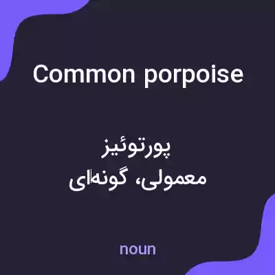 معنی common porpoise به فارسی معنی common porpoise به فارسی
