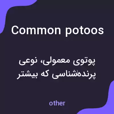 معنی common potoos به فارسی معنی common potoos به فارسی