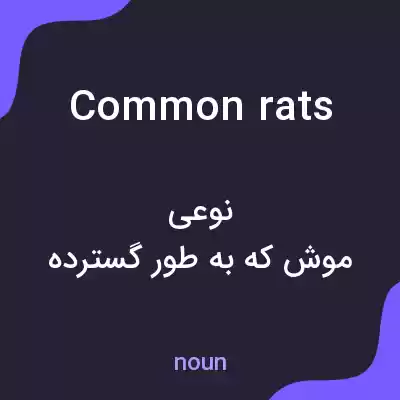 معنی common rats به فارسی معنی common rats به فارسی