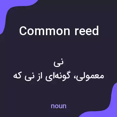 معنی common reed به فارسی معنی common reed به فارسی