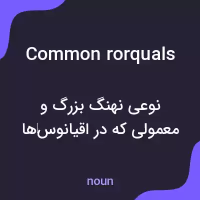معنی common rorquals به فارسی معنی common rorquals به فارسی