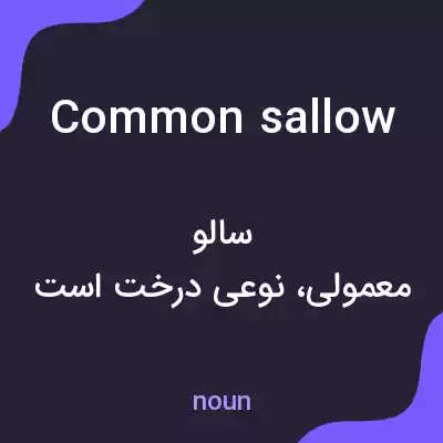 معنی common sallow به فارسی معنی common sallow به فارسی