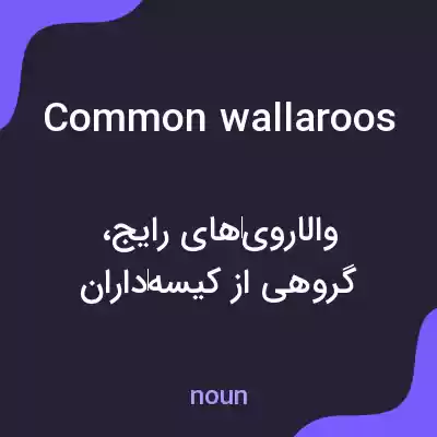 معنی common wallaroos به فارسی معنی common wallaroos به فارسی