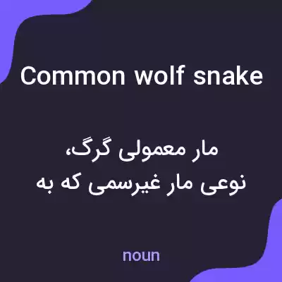 معنی common wolf snake به فارسی معنی common wolf snake به فارسی