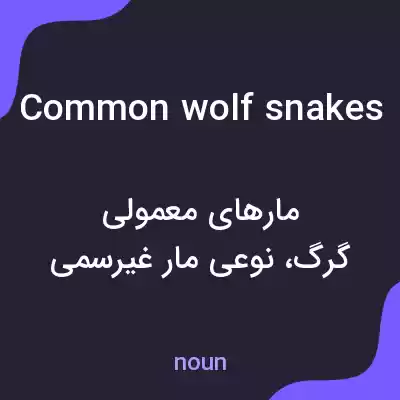 معنی common wolf snakes به فارسی معنی common wolf snakes به فارسی