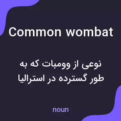 معنی common wombat به فارسی معنی common wombat به فارسی