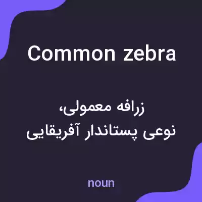 معنی common zebra به فارسی معنی common zebra به فارسی