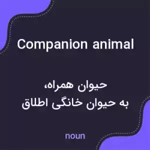 معنی companion animal به فارسی معنی companion animal به فارسی