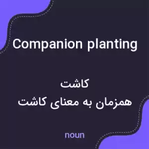 معنی companion planting به فارسی معنی companion planting به فارسی