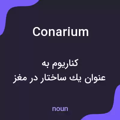 معنی conarium به فارسی معنی conarium به فارسی