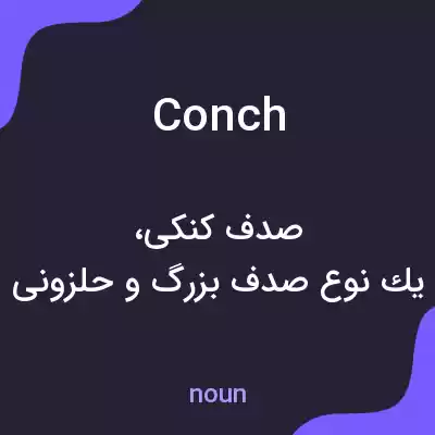 معنی conch به فارسی معنی conch به فارسی