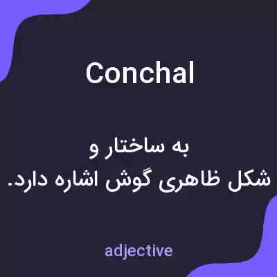 معنی conchal به فارسی معنی conchal به فارسی