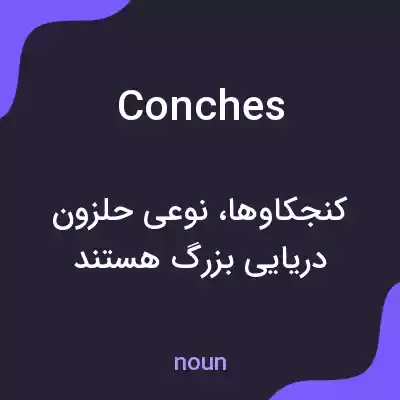 معنی conches به فارسی معنی conches به فارسی