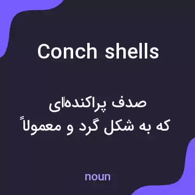 معنی conch shells به فارسی معنی conch shells به فارسی