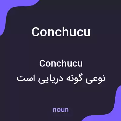 معنی conchucu به فارسی معنی conchucu به فارسی