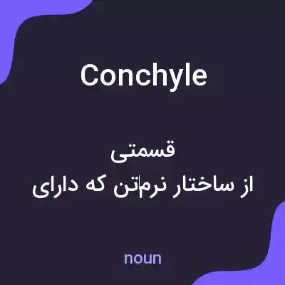 معنی conchyle به فارسی معنی conchyle به فارسی