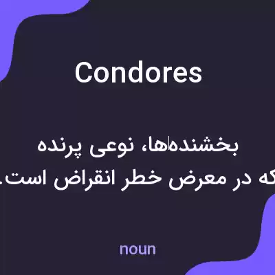 معنی condores به فارسی معنی condores به فارسی