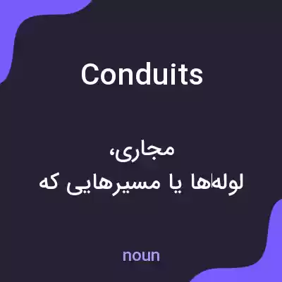معنی conduits به فارسی