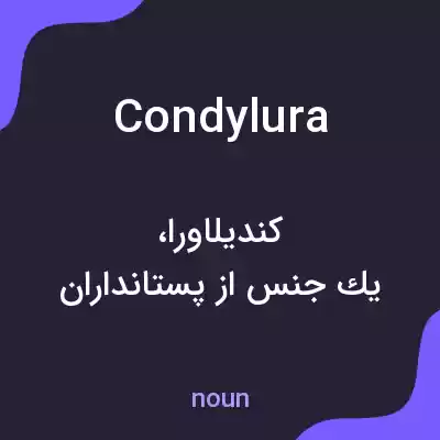 معنی condylura به فارسی معنی condylura به فارسی