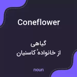 معنی coneflower به فارسی معنی coneflower به فارسی